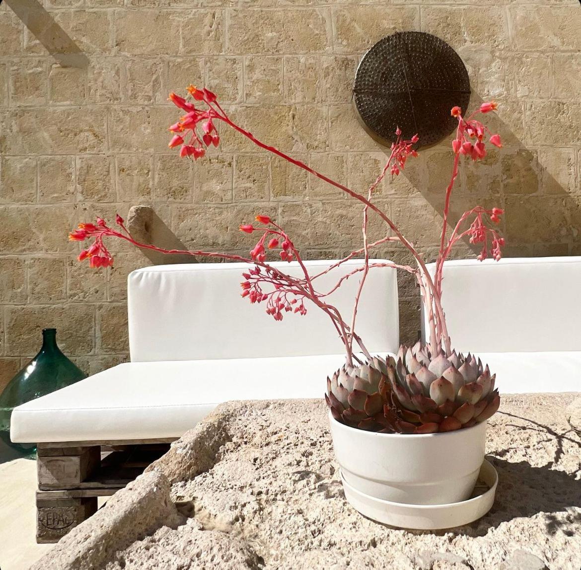 Masseria Spiga Gravina in Puglia Dış mekan fotoğraf