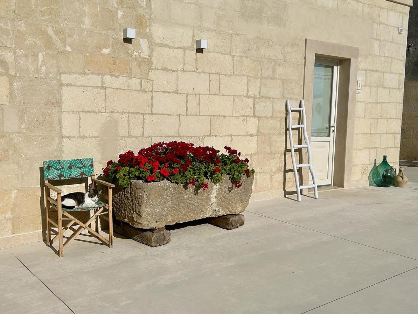 Masseria Spiga Gravina in Puglia Dış mekan fotoğraf