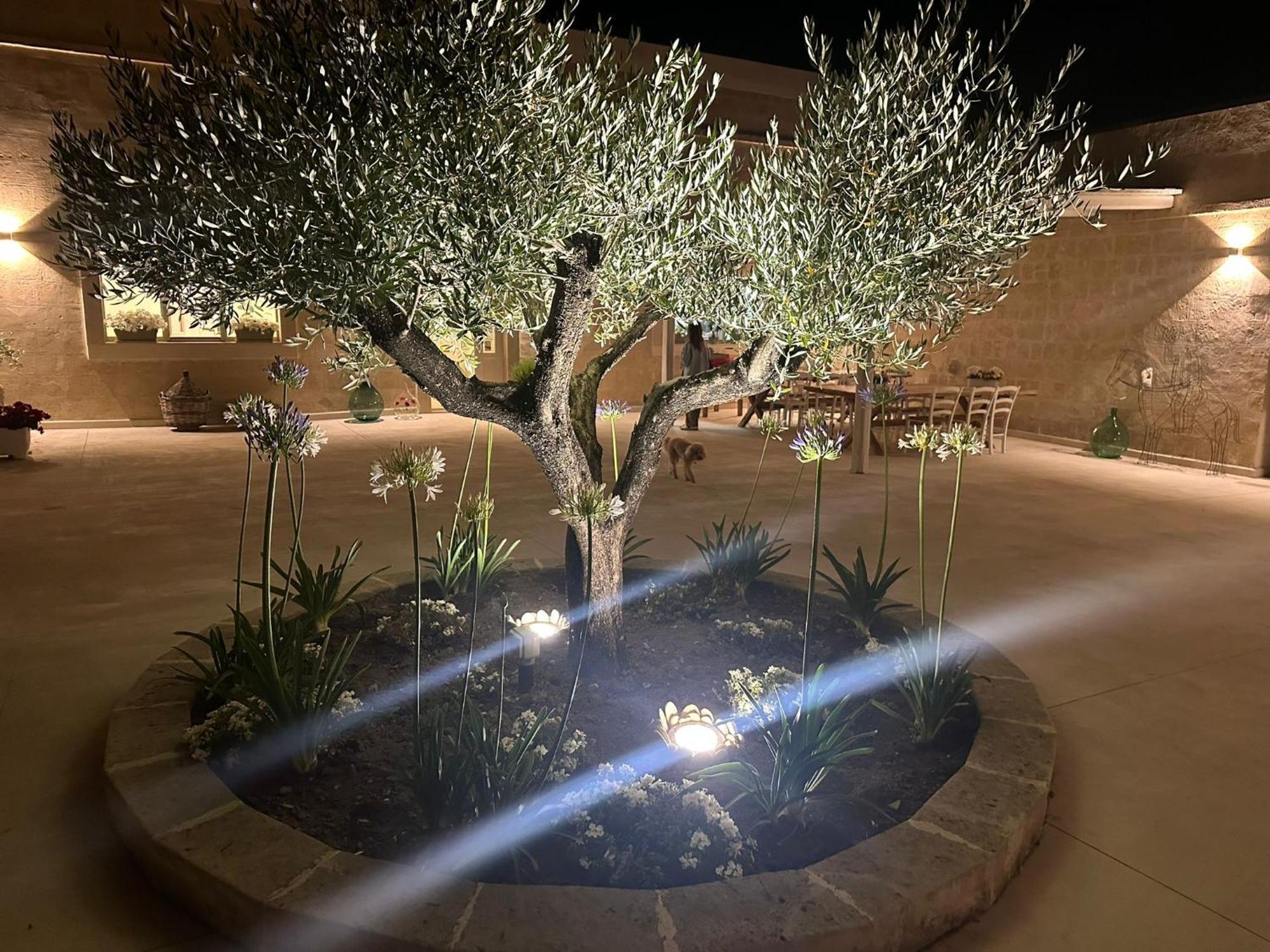 Masseria Spiga Gravina in Puglia Dış mekan fotoğraf